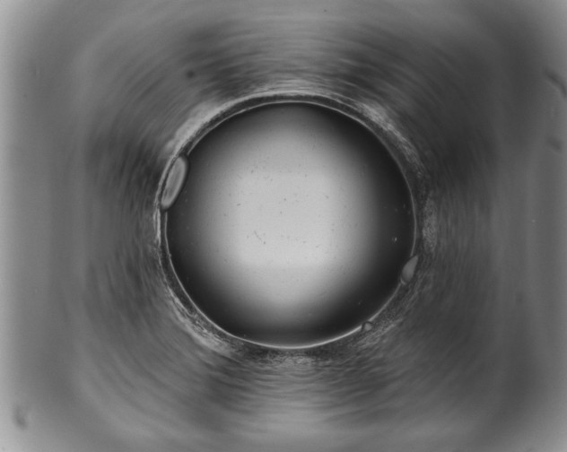 X0000100781372200806261619