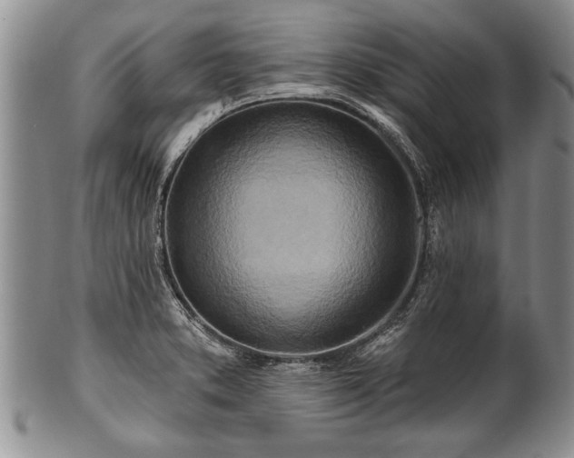 X0000100781373200806261619