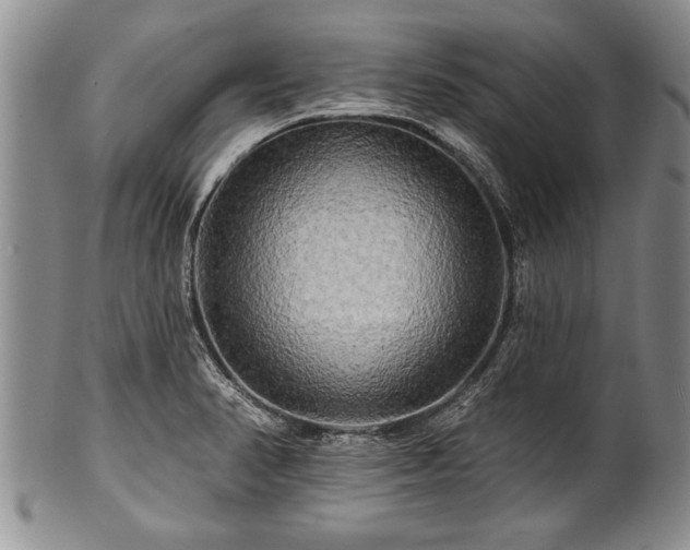 X0000100781374200806261619