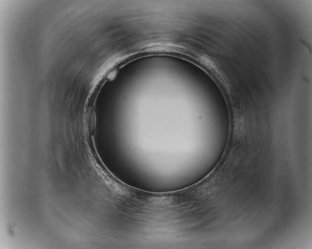 X0000100781376200806261619