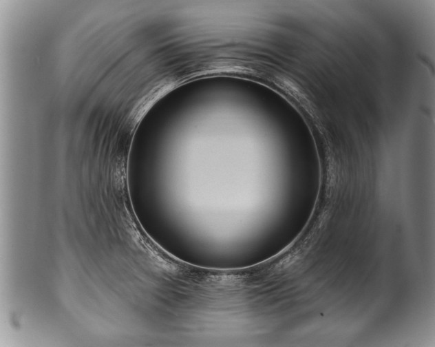 X0000100781377200806261619