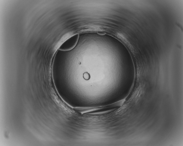 X0000100781378200806261619