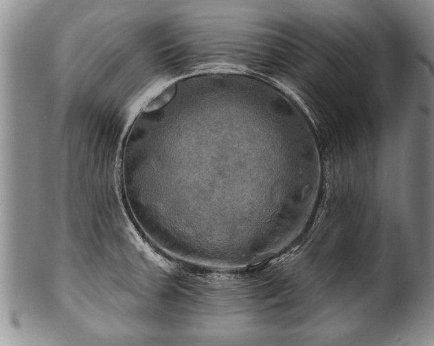 X0000100781379200806261619