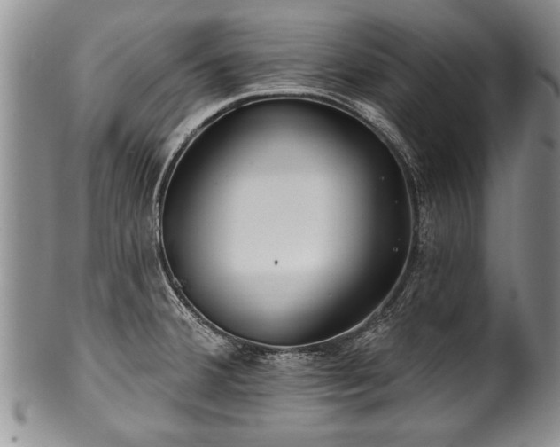 X0000100781380200806261619