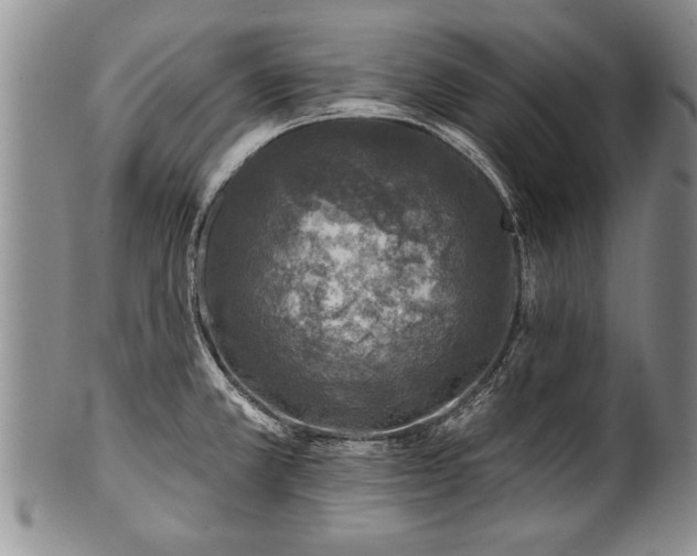 X0000100781381200806261619