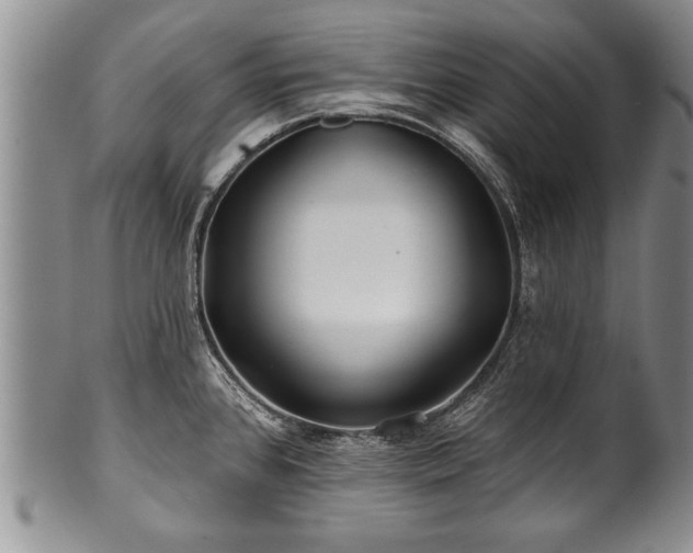 X0000100781384200806261619