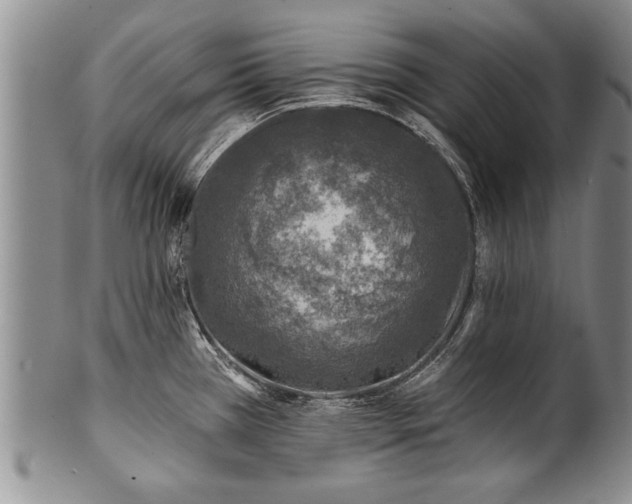 X0000100781385200806261619