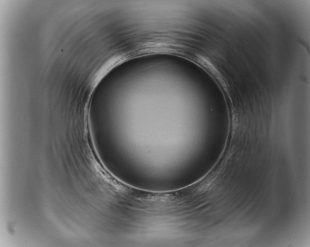 X0000100781386200806261619