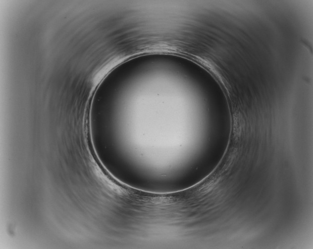 X0000100781387200806261619