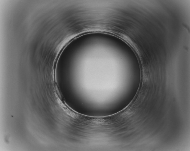 X0000100781388200806261619