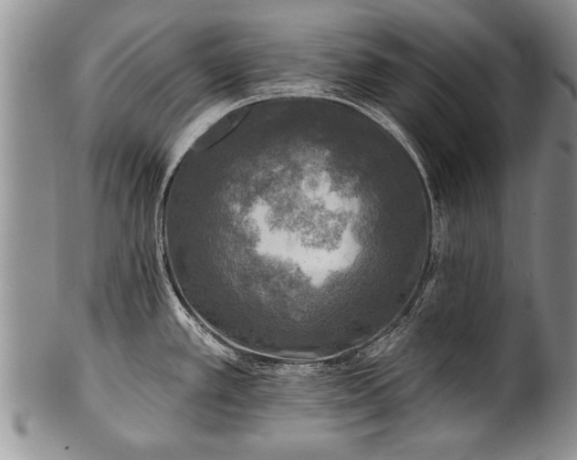 X0000100781389200806261619