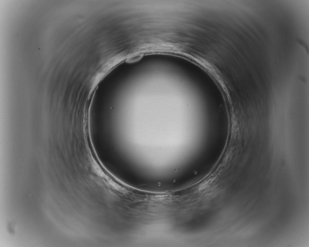 X0000100781390200806261619