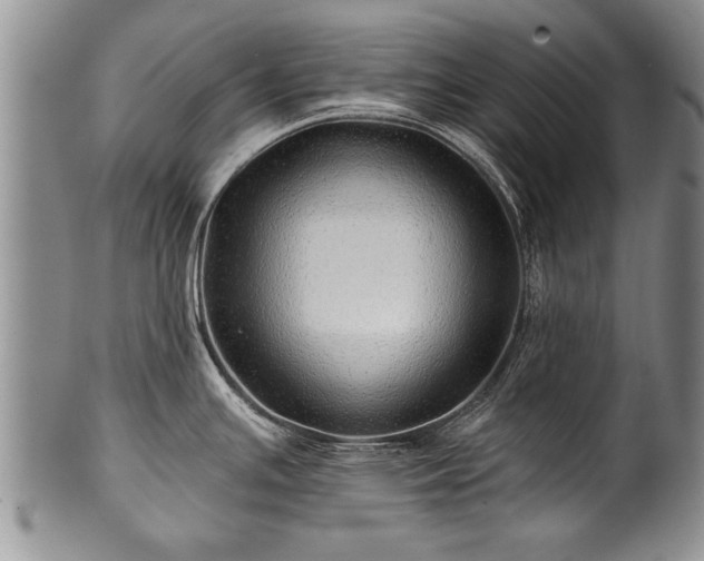 X0000100781391200806261619