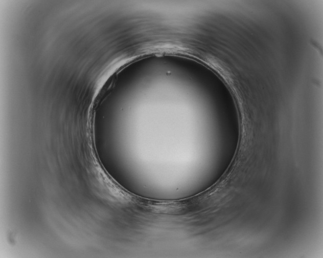 X0000100781392200806261619