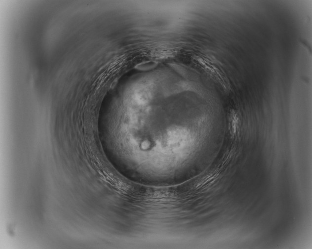 X0000100781393200806261618