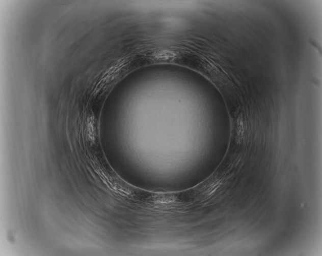 X0000100781394200806261618