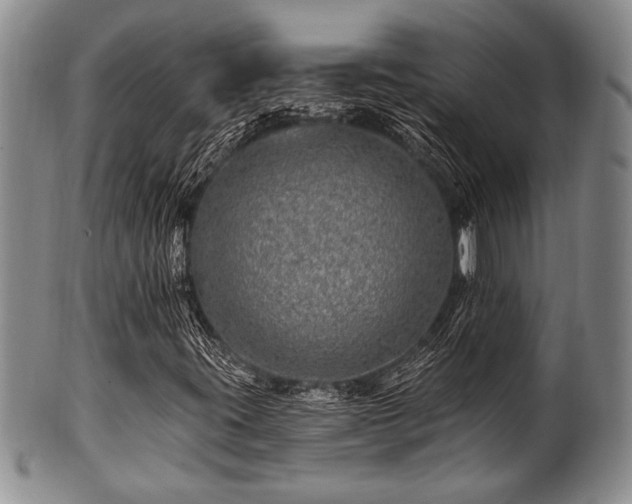 X0000100781395200806261618