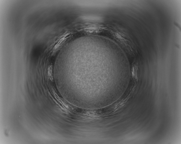 X0000100781396200806261618