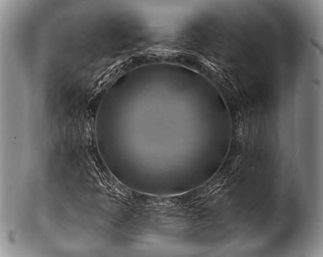 X0000100781397200806261618