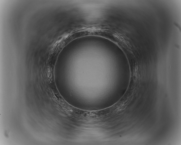 X0000100781398200806261618