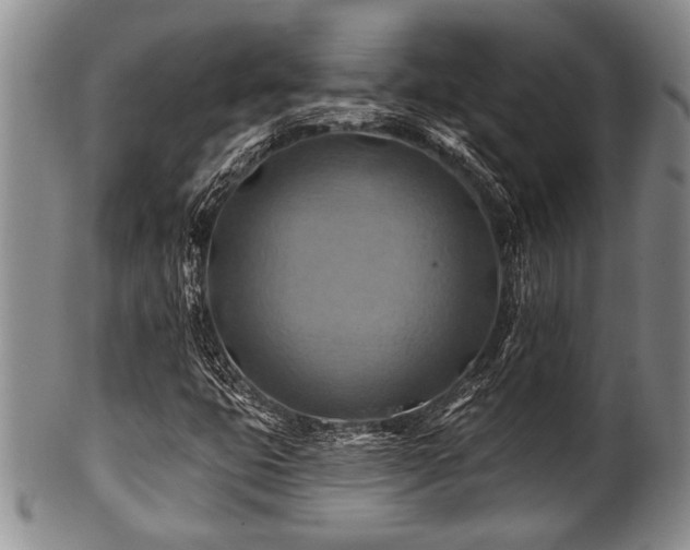 X0000100781399200806261618