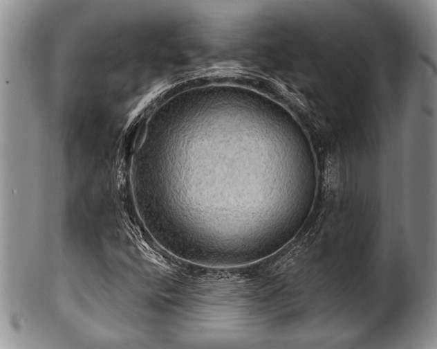 X0000100781400200806261618