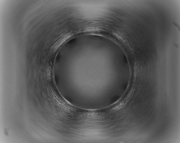 X0000100781401200806261618