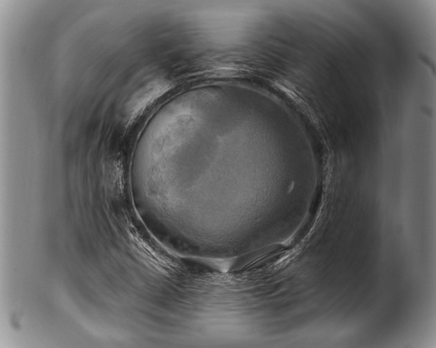 X0000100781402200806261618