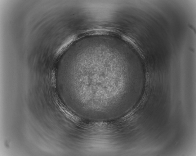 X0000100781403200806261618