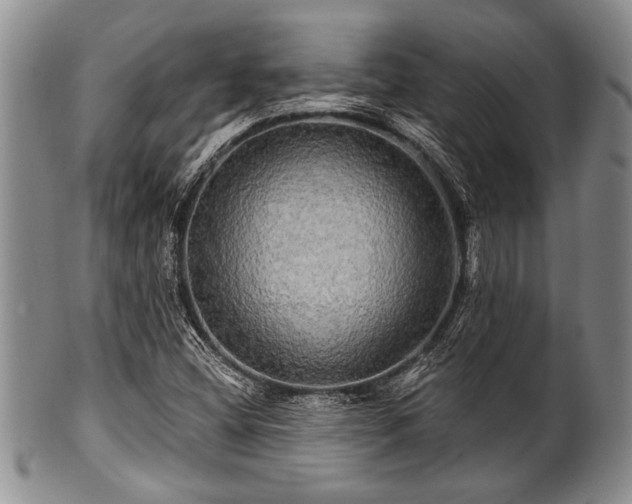 X0000100781404200806261618