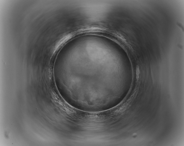 X0000100781405200806261618