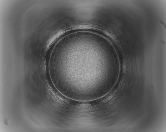 X0000100781406200806261618