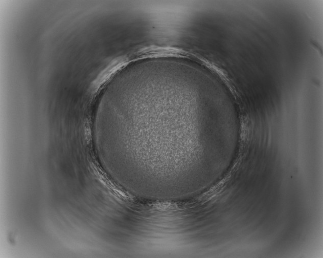 X0000100781407200806261618