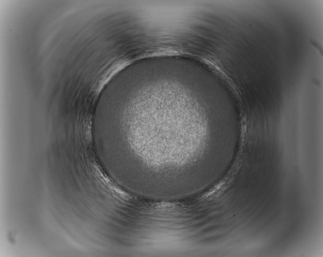 X0000100781409200806261618