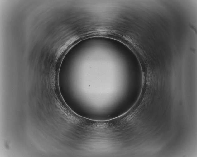 X0000100781410200806261618