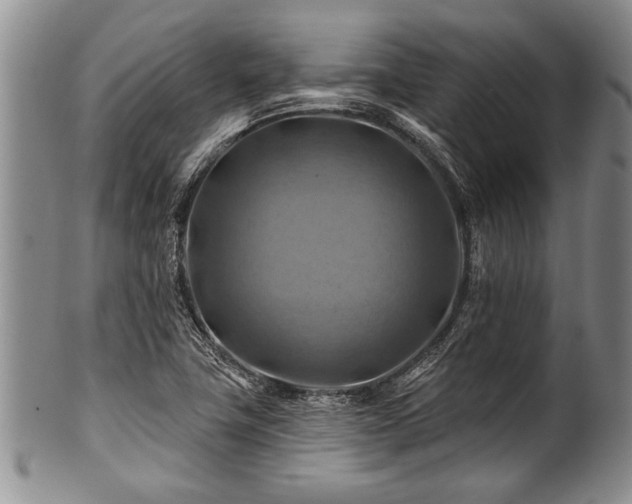 X0000100781411200806261618