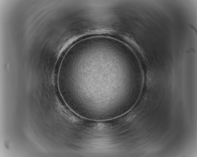 X0000100781412200806261618