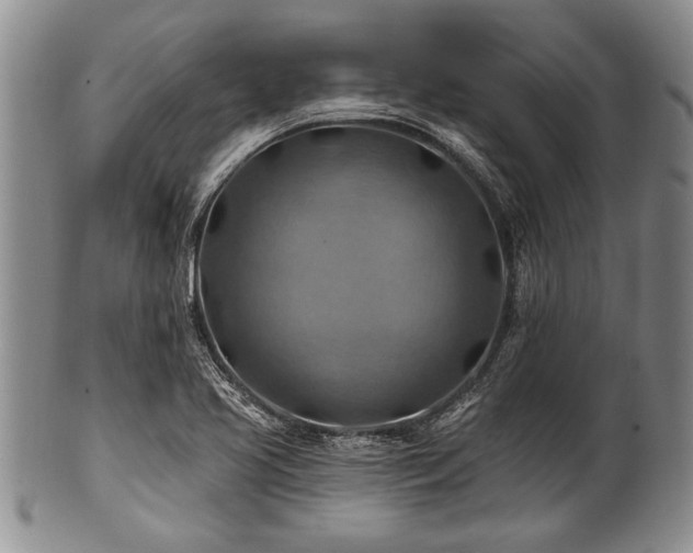 X0000100781413200806261618