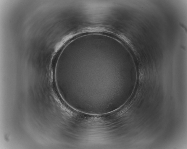 X0000100781414200806261618