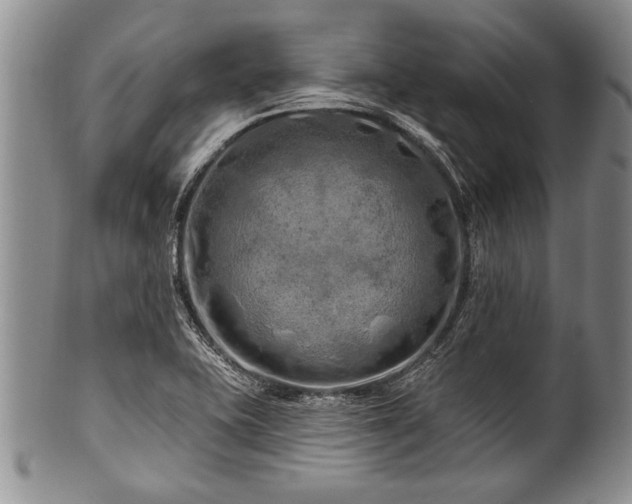 X0000100781415200806261618