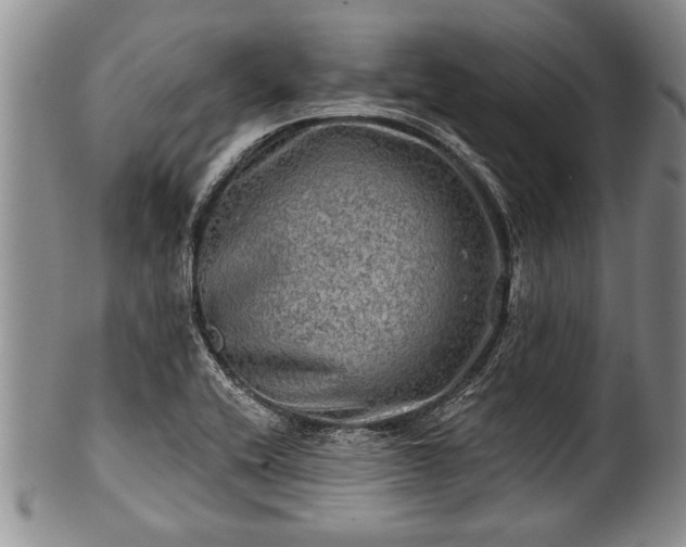 X0000100781416200806261618