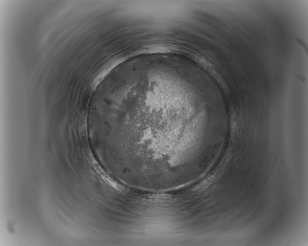 X0000100781417200806261618