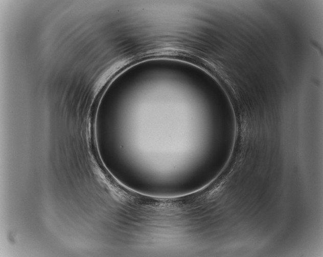 X0000100781418200806261618