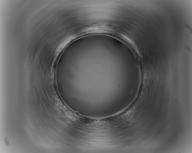 X0000100781419200806261618