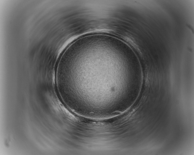 X0000100781420200806261618