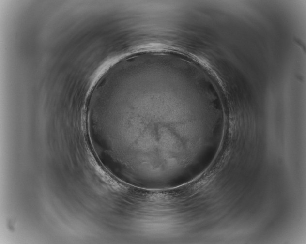 X0000100781421200806261619