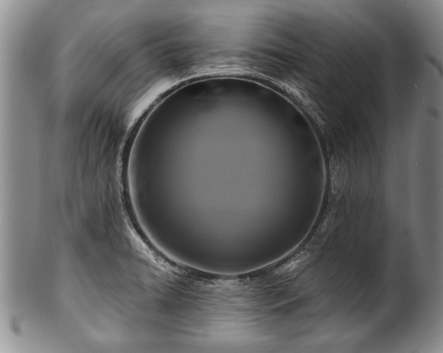 X0000100781422200806261619