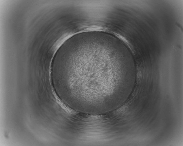 X0000100781423200806261619