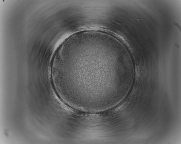 X0000100781424200806261619