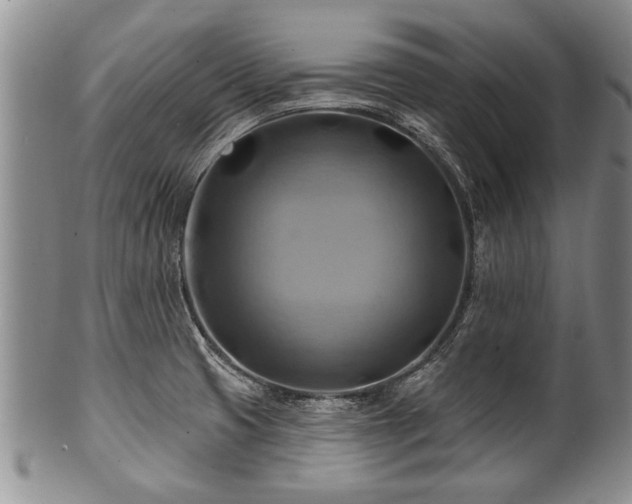 X0000100781425200806261619